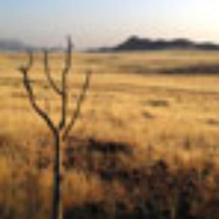 Caffe Ristorante Hollywood